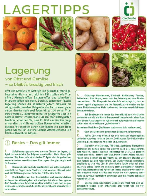 Frisches Obst und Gemüse: Mandarinen, Rote Bete, Kartoffeln, Johannisbeeren, Äpfel, Salat, mit Lagertipps