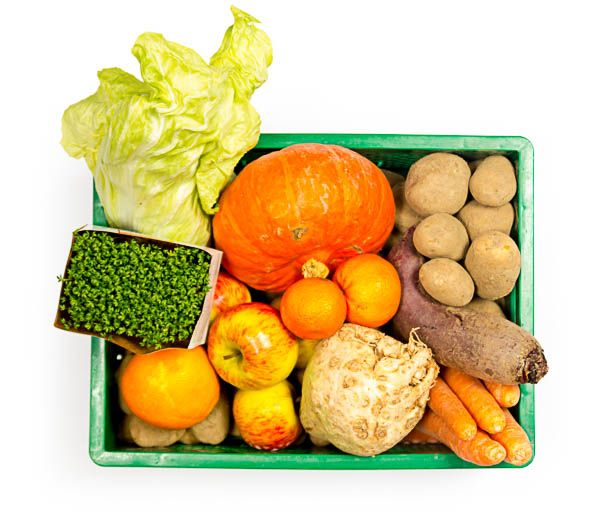 Probierkiste vegan