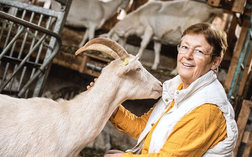 Ältere Frau lächelt und streichelt Ziege im Stall mit weiteren Ziegen im Hintergrund