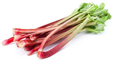 Frische rote Rhabarberstangen mit grünen Blättern auf weißem Hintergrund