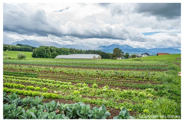 Landschaft mit landwirtschaftlichen Feldern, Gewächshaus und Bergen im Hintergrund unter bewölktem Himmel