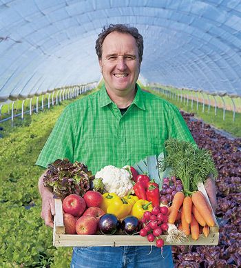 Mann in grünem Hemd hält Kiste mit frischem Obst und Gemüse in Gewächshaus