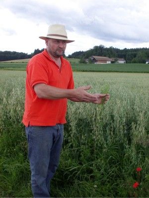 Mann mit Hut und rotem Hemd zeigt Pflanzen in einem grünen Feld vor Bauernhaus bei bewölktem Himmel