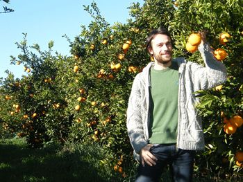 Mann pflückt Orangen an einem sonnigen Tag in einem Orangenhain