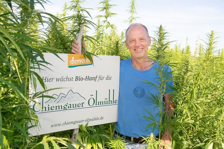Mann steht lächelnd in einem Hanffeld und hält ein Schild mit Informationen zur Bio-Hanf Ernte.