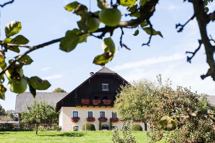 Traditionelles Bauernhaus mit bunten Blumen vor Apfelbäumen und grünem Gras unter blauem Himmel