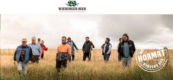 Acht Männer in einem Getreidefeld unter bewölktem Himmel bei Wieninger Bier